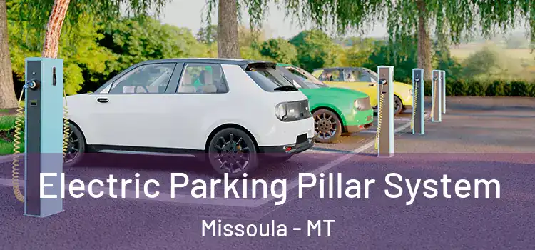  Electric Parking Pillar System Missoula - MT